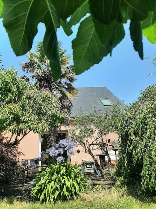 La Maison Rose - Avec Grand Jardin Clos A 300M De La Mer Hauteville-sur-Mer Exterior photo